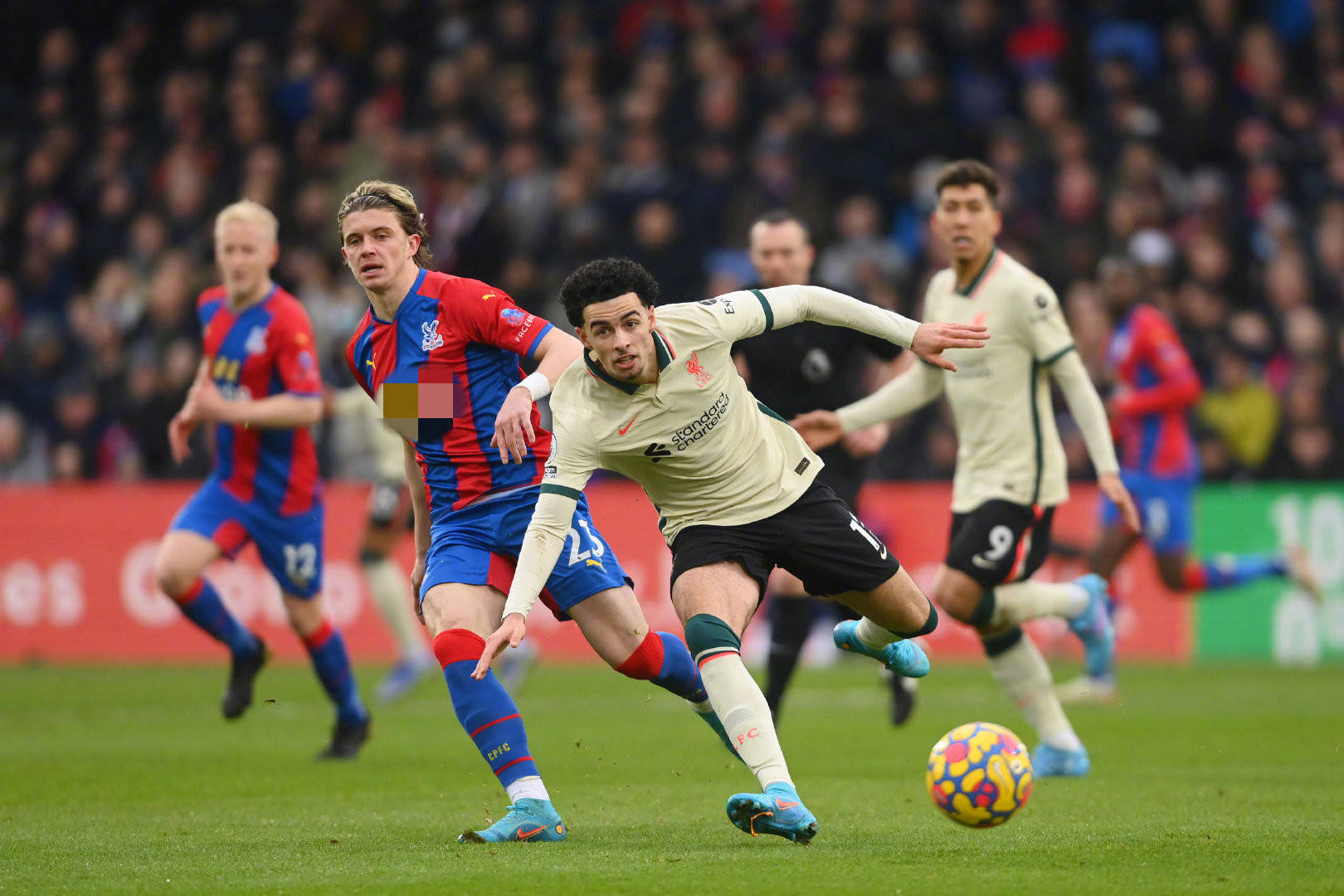 他不仅在得 他不仅在得