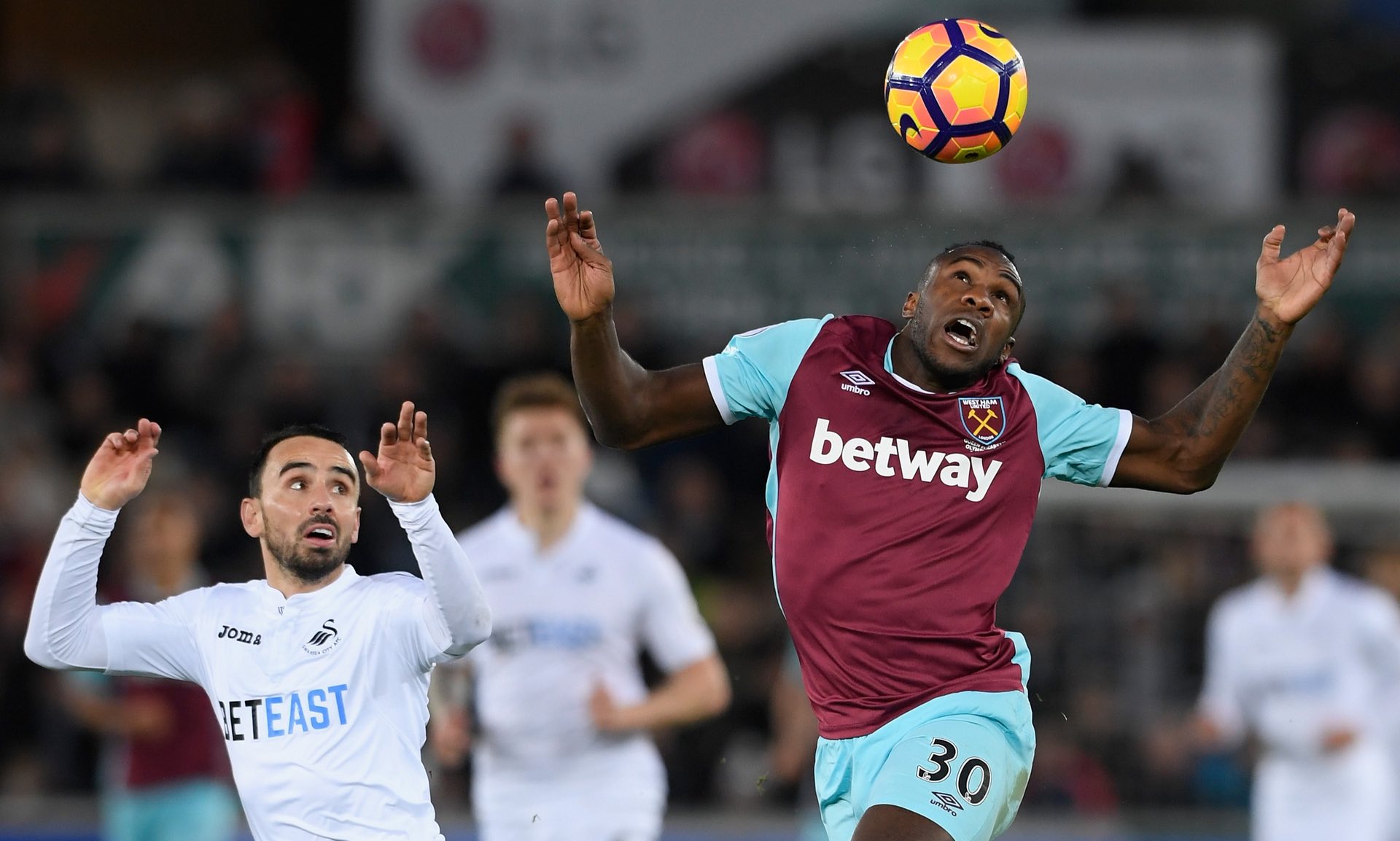 人资料介绍 人资料介绍